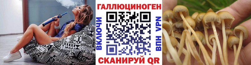 Галлюциногенные грибы Magic Shrooms  как найти закладки  Наволоки 